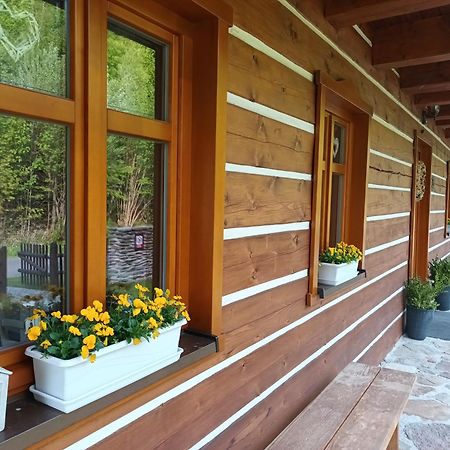 Apartmany U Vlcich Jam Petrowitz Exterior foto