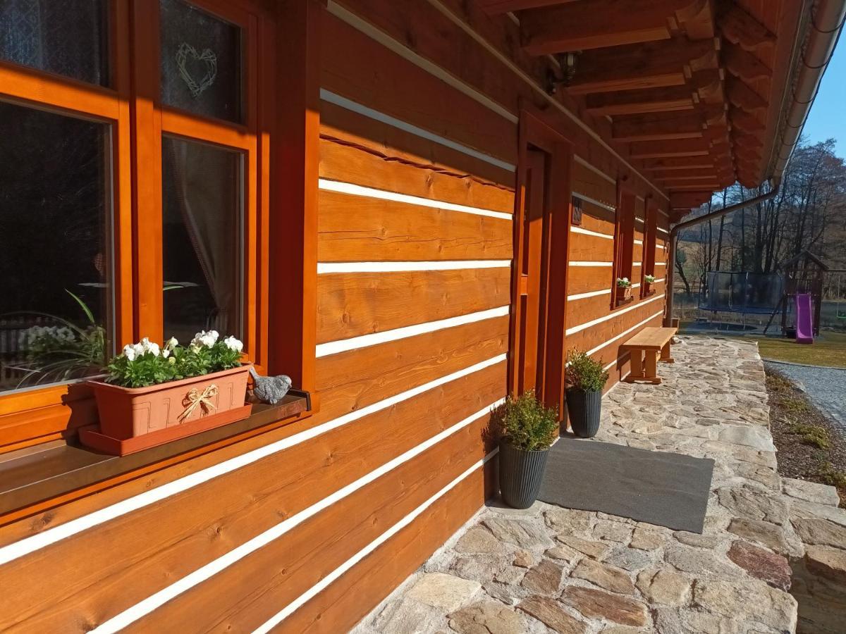 Apartmany U Vlcich Jam Petrowitz Exterior foto